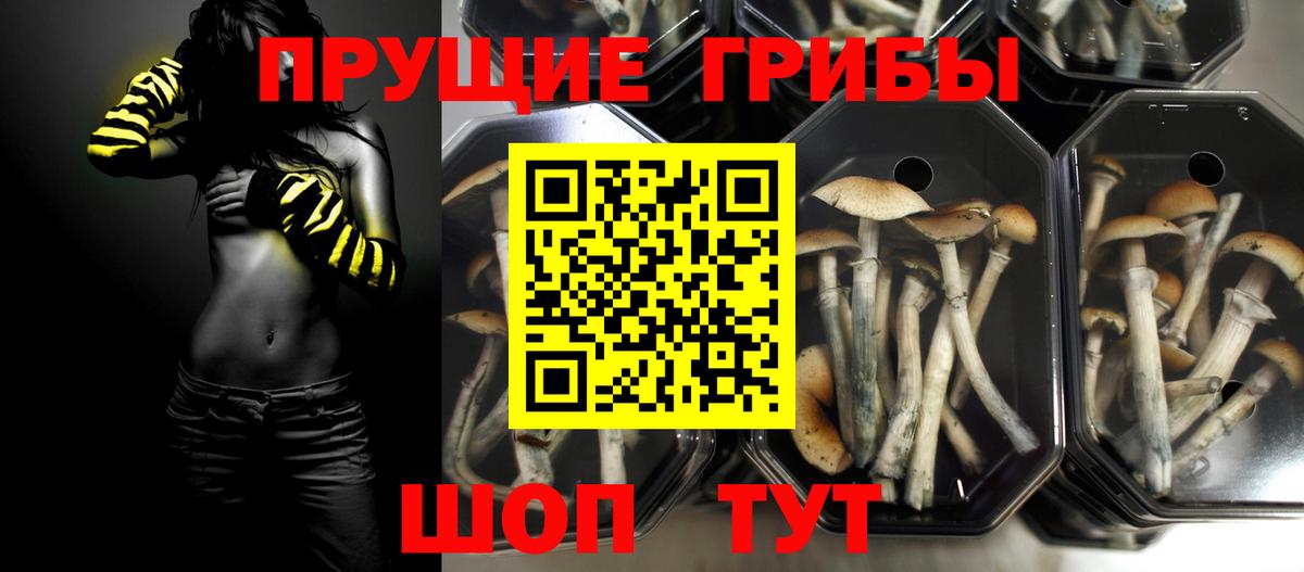 Галлюциногенные грибы прущие грибы Муравленко